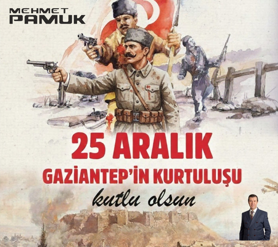 Petroit ve Türkiye'nin hava savunma sorunu
