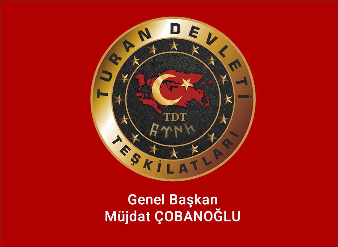 Turan Devleti Teşkilatları